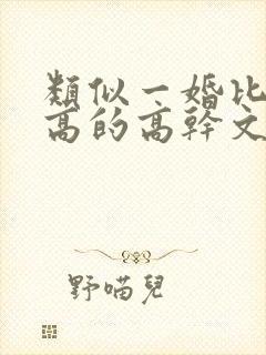 类似一婚比一婚高的高干文