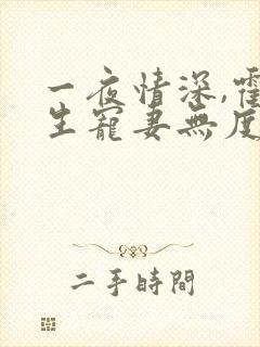 一夜情深,霍先生宠妻无度完本