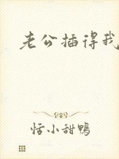 老公插得我好爽封面