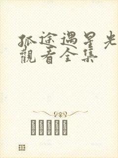 孤途遇星光免费观看全集