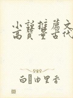 小说推荐文笔好高质量古代言情