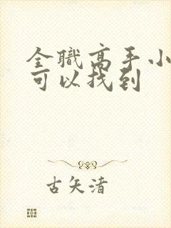 全职高手小说哪可以找到