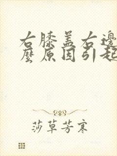 右膝盖右边疼什么原因引起的