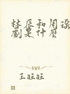 林辰和周瑶的短剧是什么