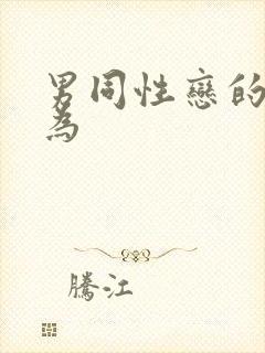 男同性恋的性行为