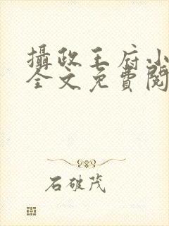 摄政王府小狂妃全文免费阅读封面