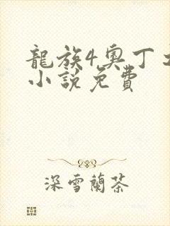 龙族4奥丁之渊小说免费封面