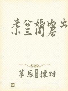 老公婚内出轨跟小三同居