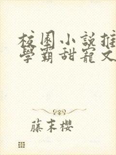 校园小说推荐双学霸甜宠文