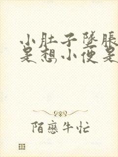 小肚子坠胀感老是想小便是怎么回事封面