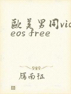 欧美男同videos free