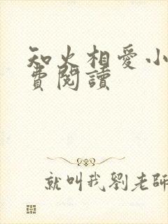 知火相爱小说免费阅读