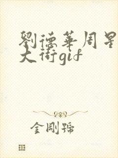 刘德华周星驰走大街gif