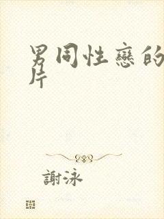 男同性恋的黄色片