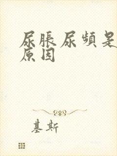 尿胀尿频是什么原因