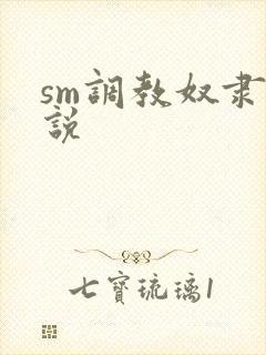 sm调教奴隶小说