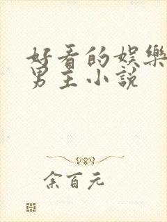 好看的娱乐圈双男主小说封面