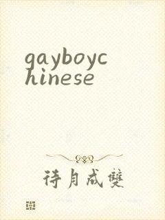 gayboychinese