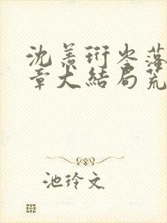 沈羡珩岑落20章大结局荒夜