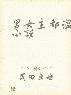 男女主都温柔的小说