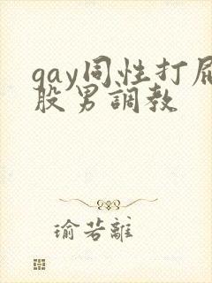 gay同性打屁股男调教