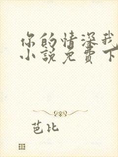 你的情深我不配小说免费下载