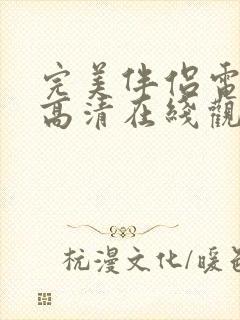 完美伴侣电视剧高清在线观看