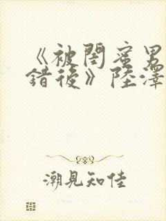 《被闺蜜男友认错后》陆泽