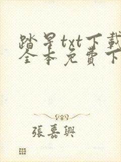 踏星txt下载全本免费下载