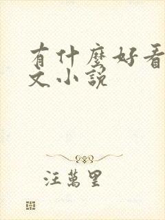 有什么好看的甜文小说封面