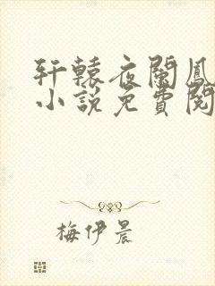 轩辕夜阑凤云倾小说免费阅读笔趣阁封面