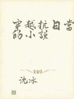 穿越抗日当曹贼的小说封面