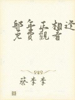 那年正相逢短剧免费观看