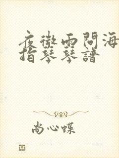 夜微雨问海棠拇指琴琴谱