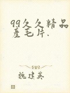 99久久精品国产毛片.