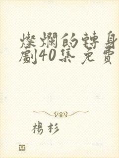 灿烂的转身电视剧40集免费观看高清