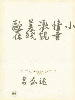 欧美激情小视频在线观看