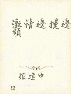 激情边摸边亲视频