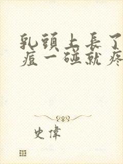 乳头上长了个痘痘一碰就疼