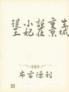 从小说重生后,王妃在京城杀疯了小说