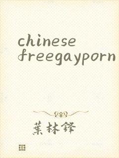 chinesefreegayporn