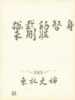 总裁的替身前妻未删版