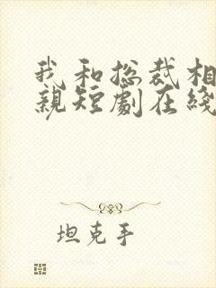 我和总裁相了个亲短剧在线观看封面