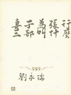 妻子为张行长第三部叫什么