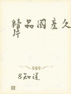 精品国产久久毛片