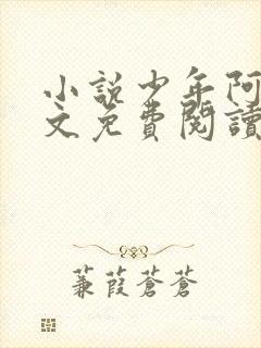 小说少年阿斌全文免费阅读