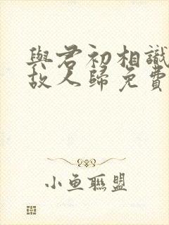 与君初相识恰似故人归免费观看