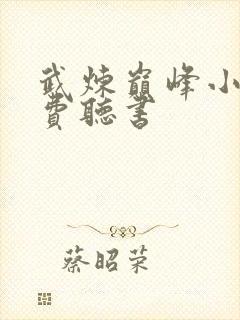 武炼巅峰小说免费听书