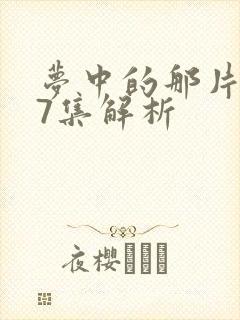 梦中的那片海27集解析