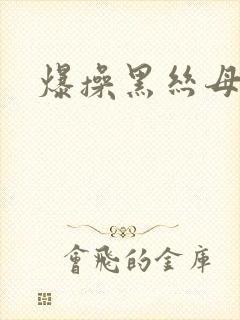 爆操黑丝母狗封面